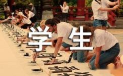 中文系学生暑期支教社会实践报告