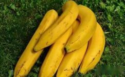 2016营养师推荐：香蕉有10大鲜为人知的好处