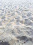 细沙和粗沙