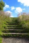 通往幸福的阶梯