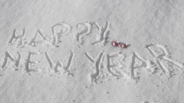 新年表示年新的一年，新的开始，万事从头起，良好的开端是成功的一半祝你永远是成功者。