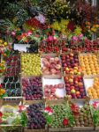 寒假销售水果蔬菜社会实践报告大纲